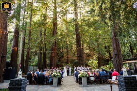 At Deer Park Villa in Fairfax, California, the bride and groom stand together at an outdoor altar beneath a towering canopy of trees, while guests are seated nearby, surrounded by the natural beauty and serene forest setting.